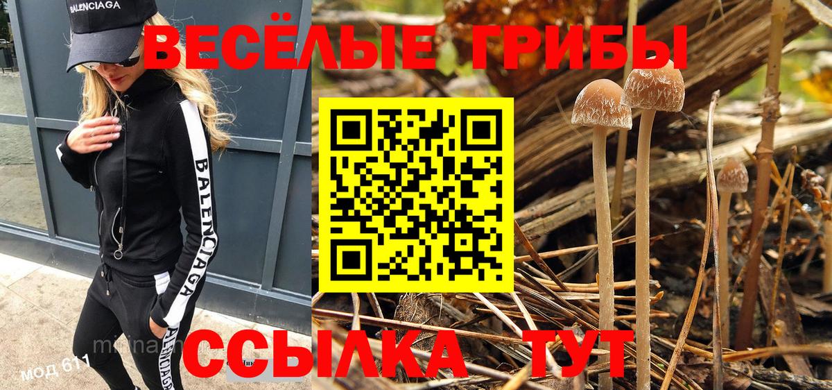 Галлюциногенные грибы MAGIC MUSHROOMS Подольск